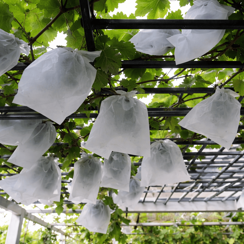 Fruit bag - Image 5