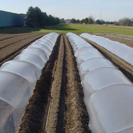 Lowtunnel mulch film - Image 5
