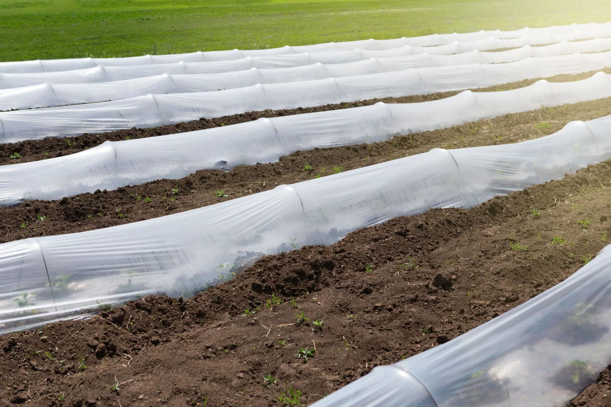 Land Cultivation