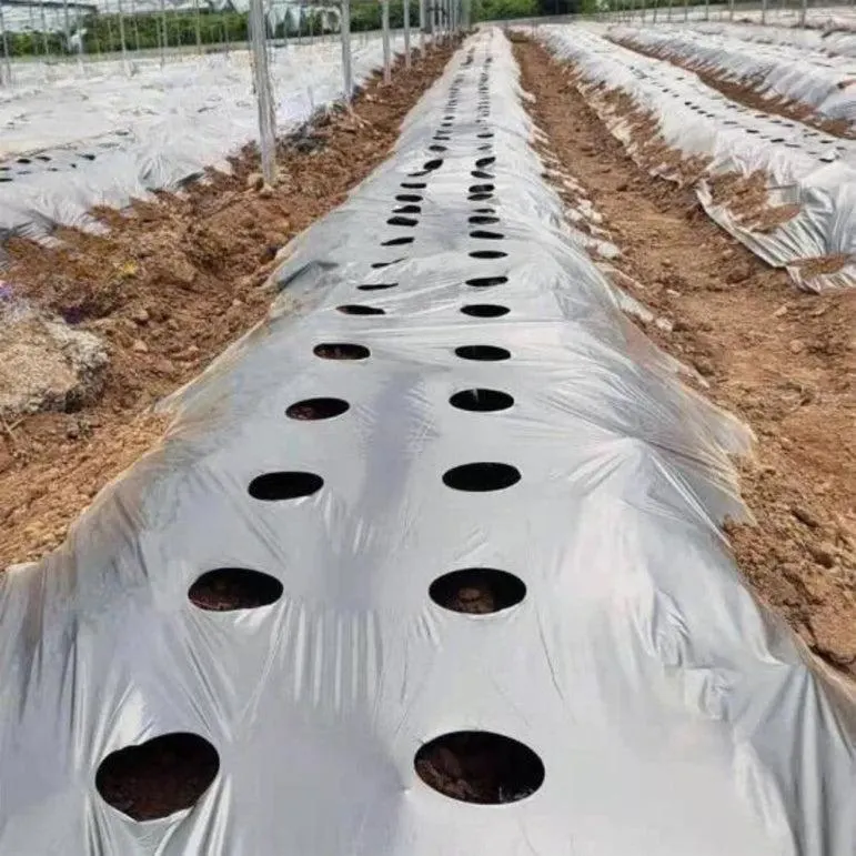 Punching Mulching film - Image 9