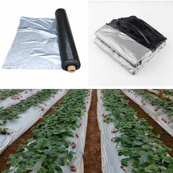 Reflective mulch film - Image 2