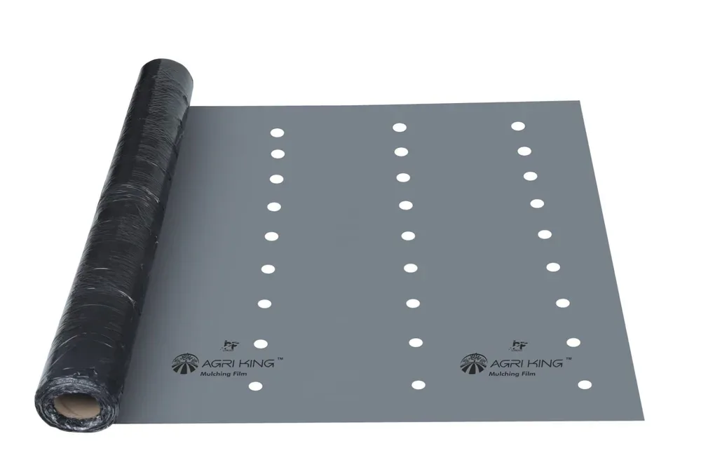 Punching Mulching film - Image 4