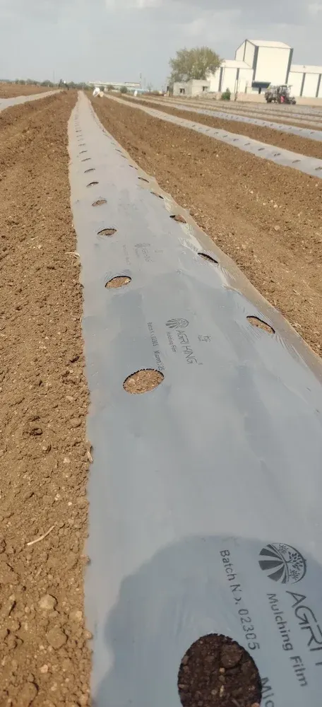 Punching Mulching film - Image 10